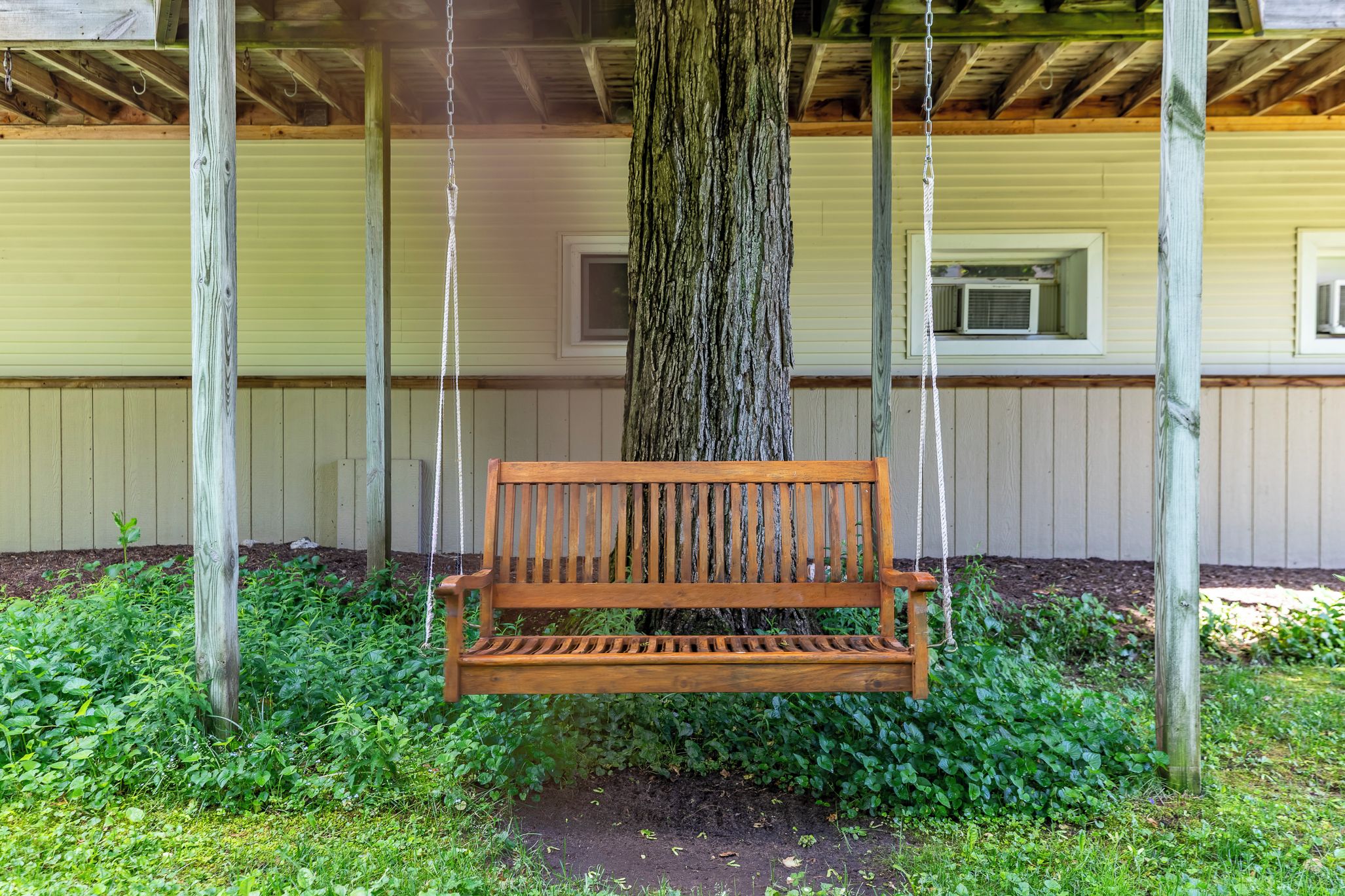 A wooden swing hanging from a tree, with a wooden bench below it.