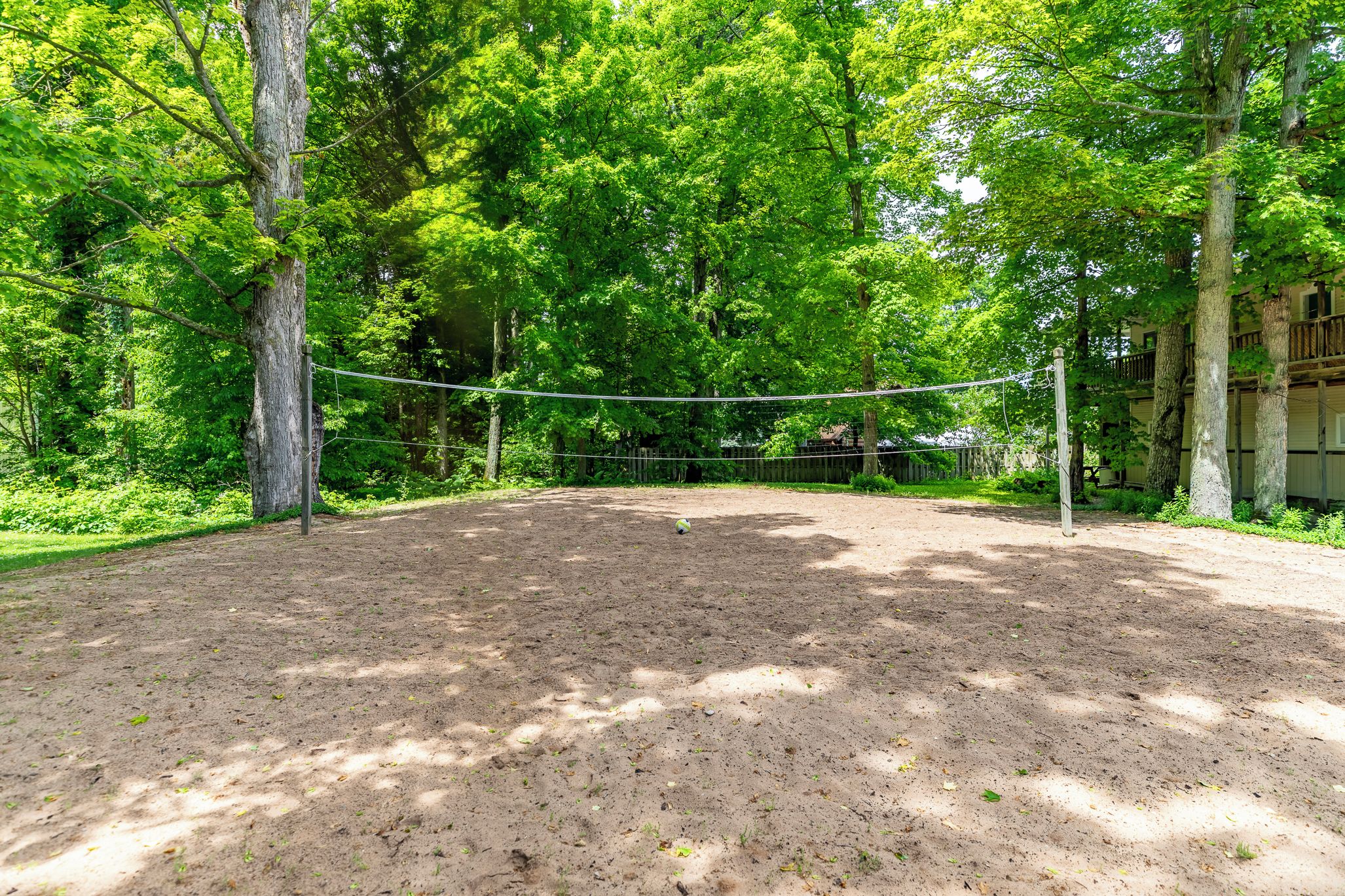 Uma quadra de voleibol de terra cercada por árvores.