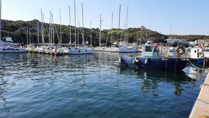 Un port de plaisance où sont amarrés plusieurs bateaux, avec une eau calme et un paysage vallonné en arrière-plan.