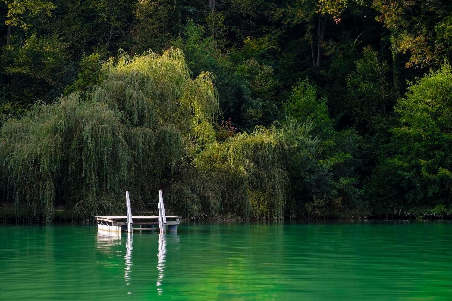 Ein ruhiger See mit einem Steg und Bäumen im Hintergrund.