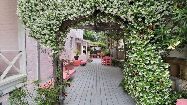 A wooden deck with a pink fence and a pergola covered in white flowers.