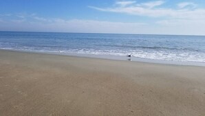 A beach with a clear sky and calm sea.