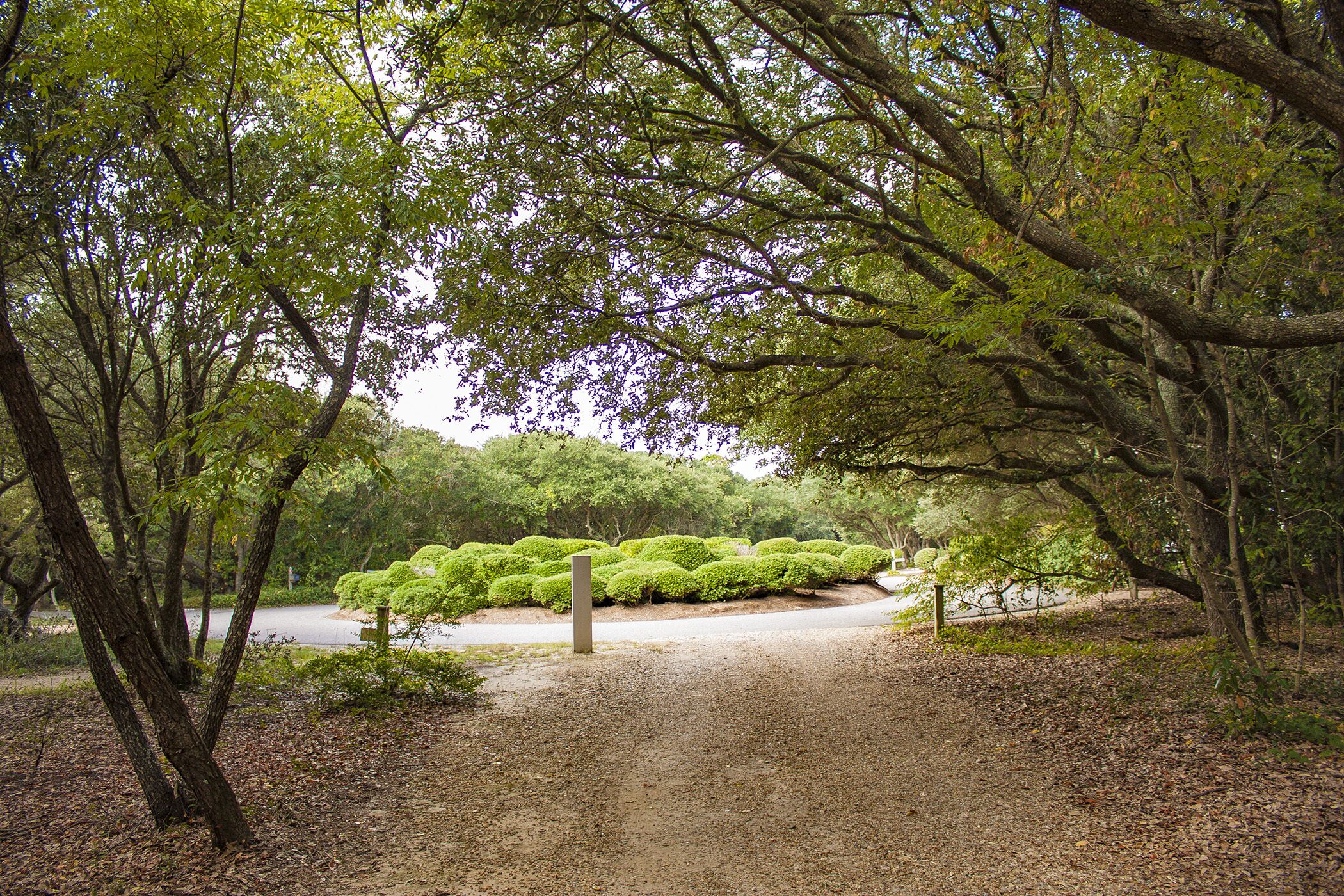 Nature trail steps away