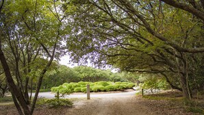 Une zone boisée avec un sentier de gravier menant à un plan d’eau.