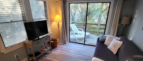 Smart TV, fireplace, books