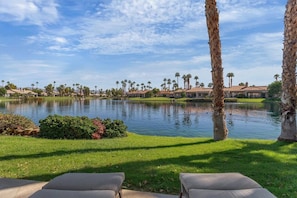 A serene outdoor area with a pond, palm trees, and a view of a residential complex.