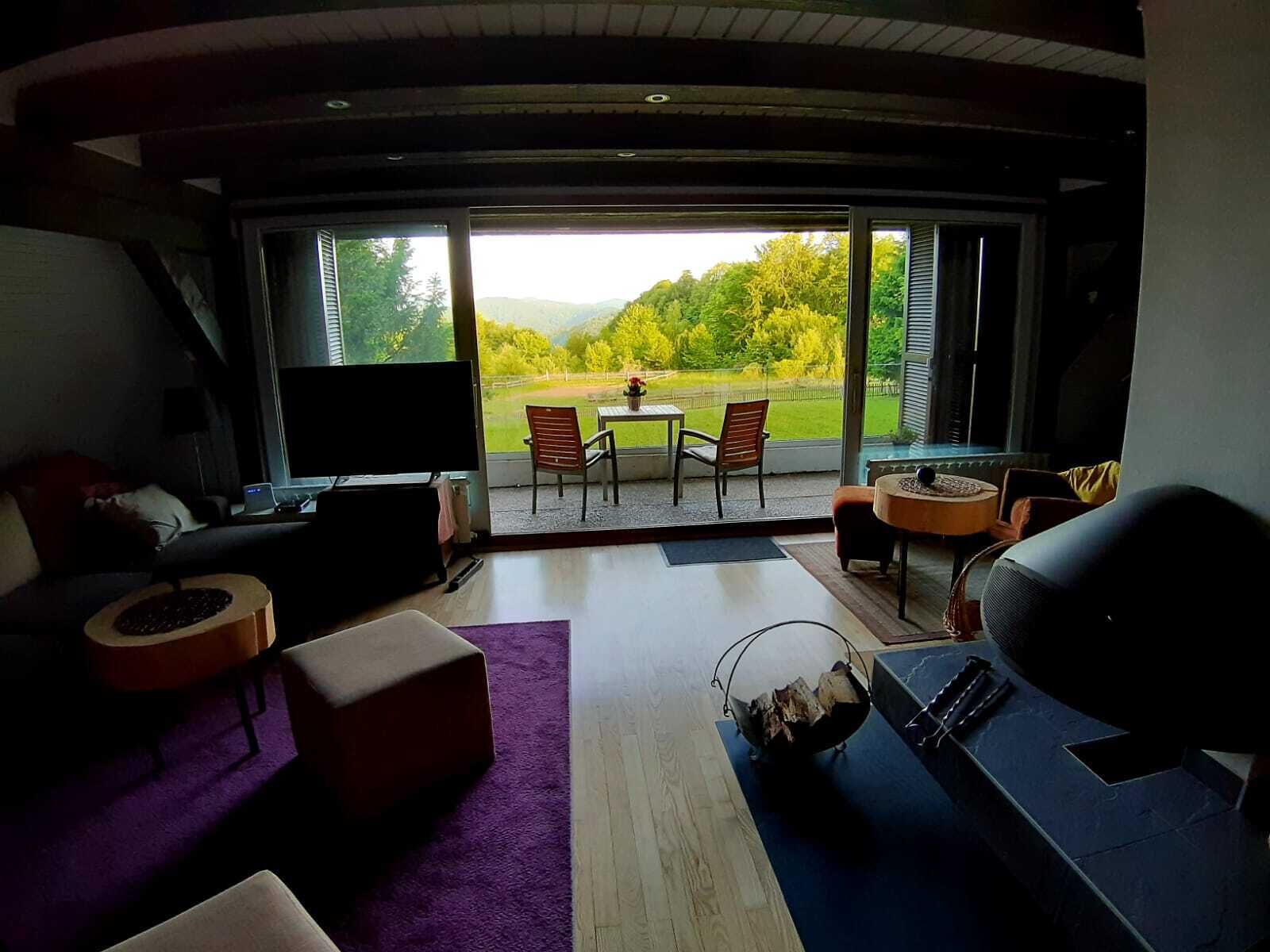 Televisor, llar de foc, reproductor de DVD i joguines 