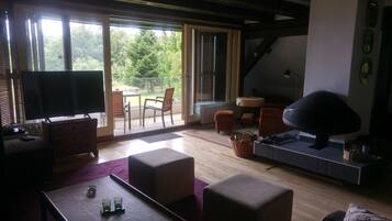 TV, fireplace, DVD player, toys