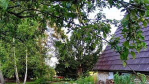 A stone pathway leading to a rustic building with a dark roof, surrounded by lush greenery and trees.