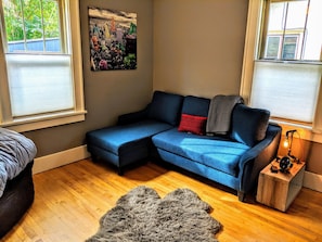 Smart TV, fireplace, DVD player, books