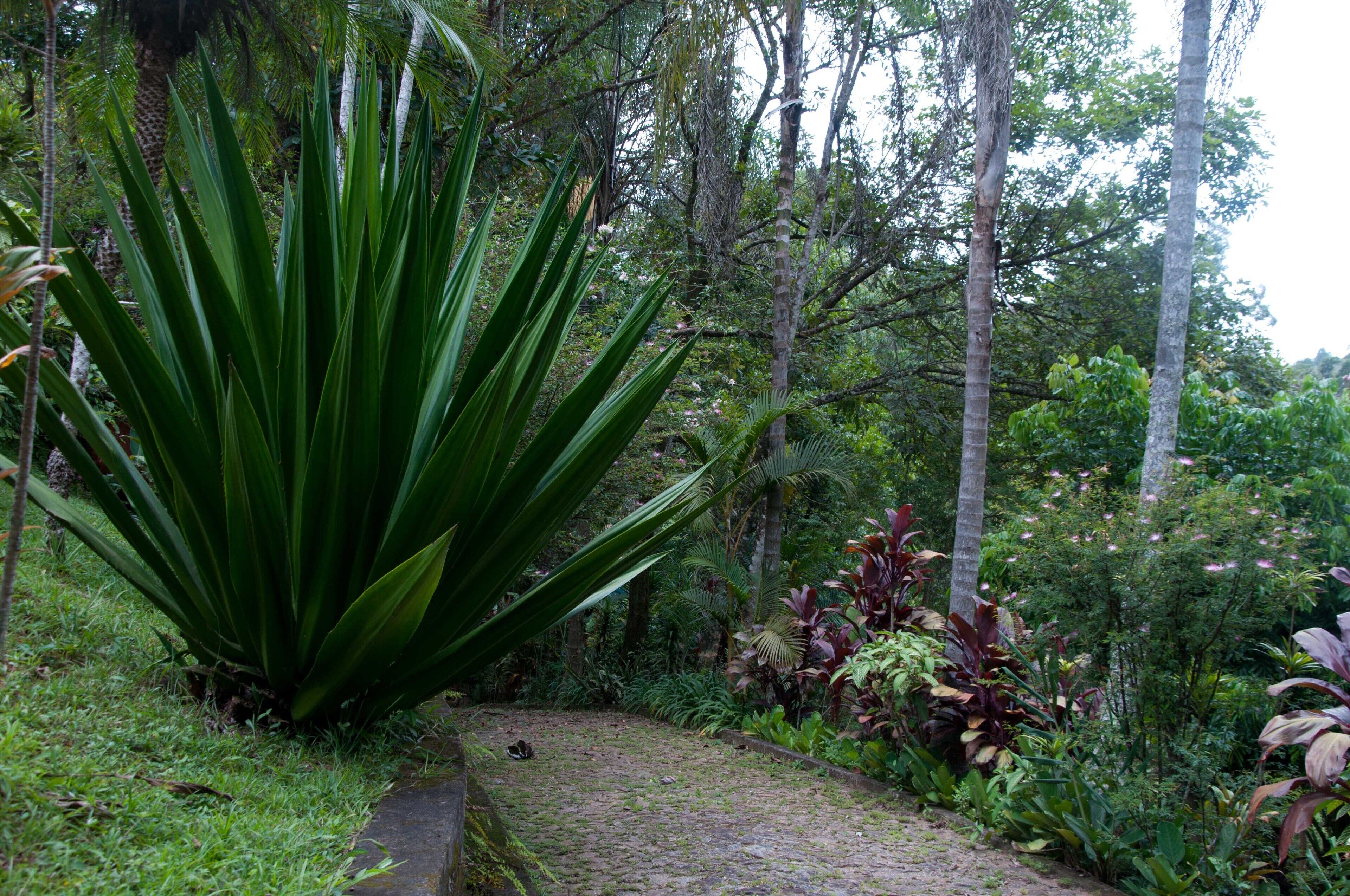 Villa Bottaro. You closer to nature!