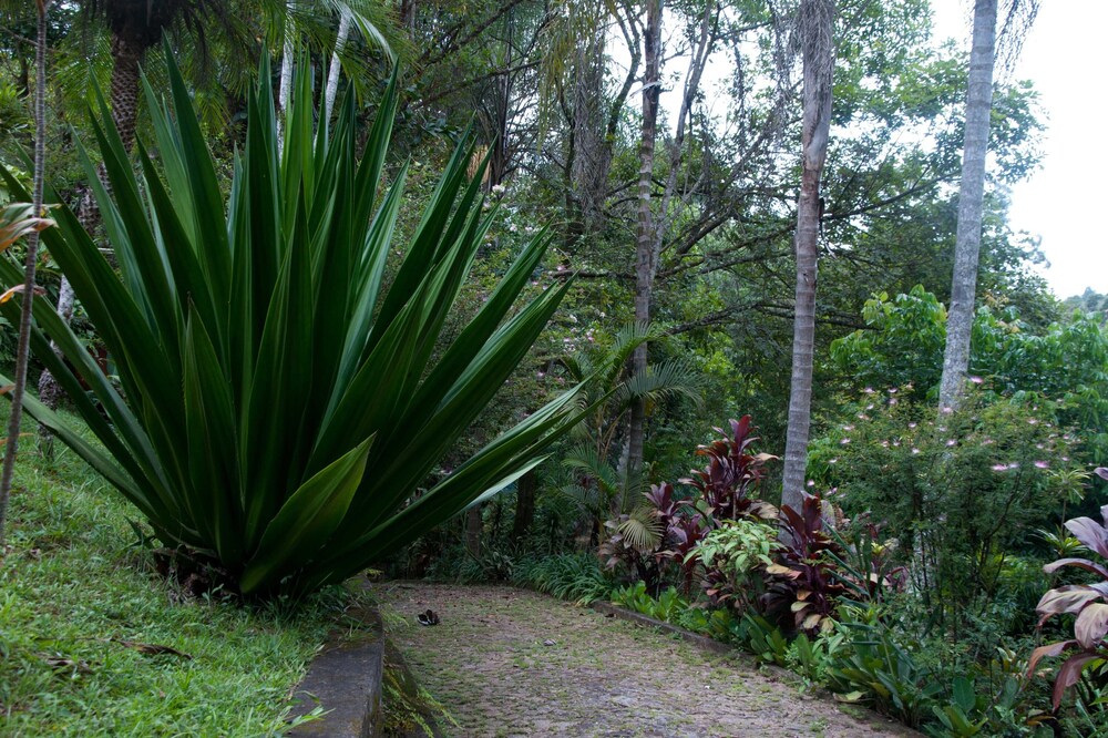 Villa Bottaro. You closer to nature!