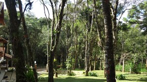 A lush garden with tall trees and a paved pathway leading to a wooden structure. - BEAUTIFUL HOUSE 5 MINUTES FROM THE CENTER – MONTE VERDE (Monte Verde)