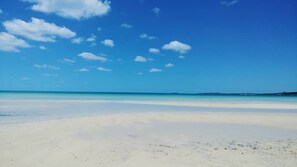 Beach nearby, beach umbrellas
