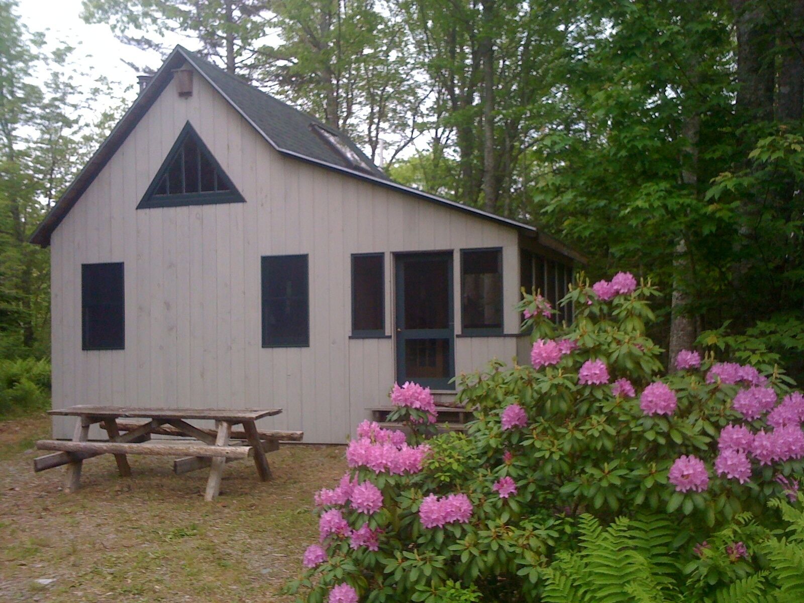 Beautiful cottage in the woods, quiet, close to beach and State Park
