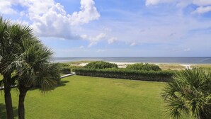 A grassy lawn with palm trees and a view of the ocean. - Land's End 304 bldg 7~Gated Community, Updated (Treasure Island)