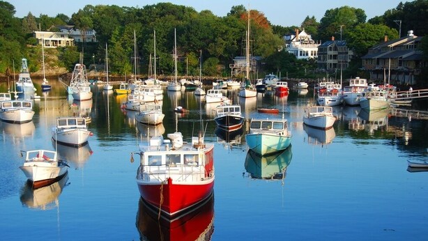 A marina with various boats docked, surrounded by houses and trees.