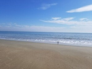 Beach nearby