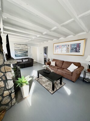 Smart TV, fireplace, DVD player, books
