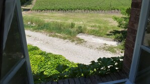 A view of a vineyard through a window with a brick wall and a gravel path. - Beautiful gite in wine domaine with shared pool, games barn & petanque court (Douzens)