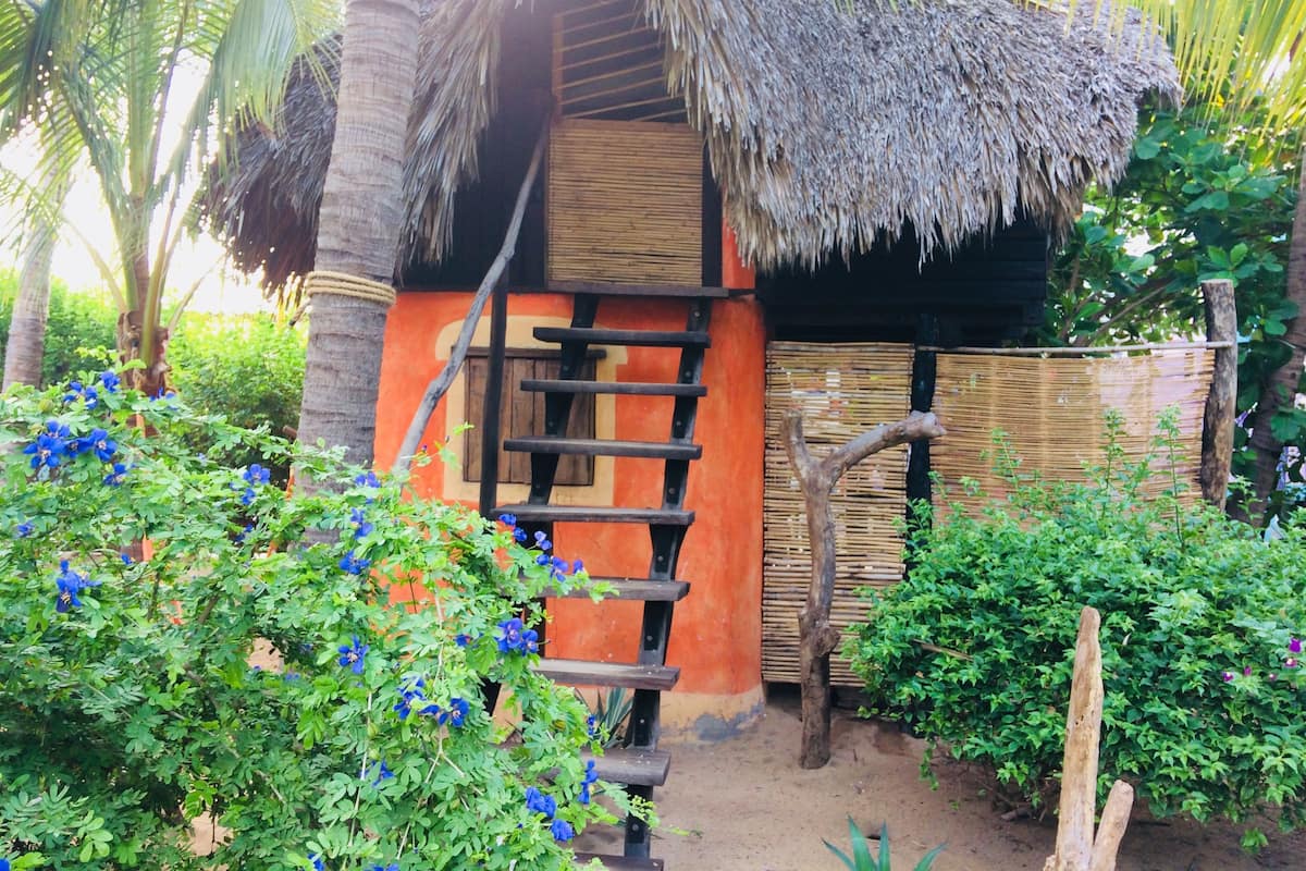A rustic hut with a thatched roof, surrounded by lush greenery and flowering plants.