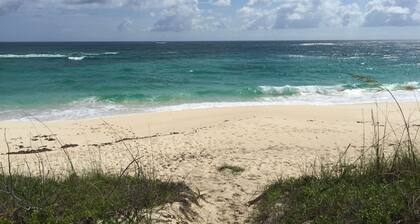 Condo w/Views, Beach, Htd Pool, Pickleball, Golf Cart, Gym,Walk to Restaurant