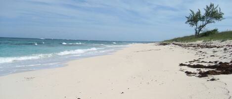 Am Strand