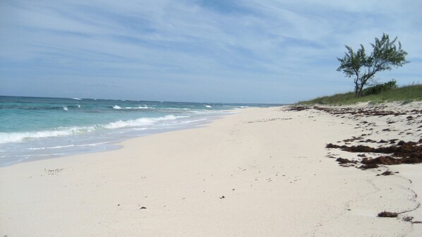 En la playa