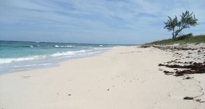 Condo w/Views, Beach, Htd Pool, Pickleball, Golf Cart, Gym,Walk to Restaurant