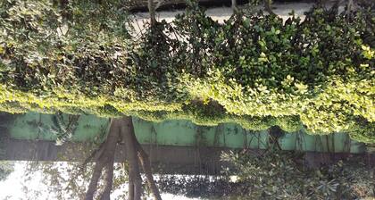 Vacation Farm House Enjoyable palace for Stay ..it's soo sweet palce ..we l nice