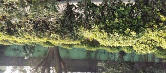 Vacation Farm House Enjoyable palace for Stay ..it's soo sweet palce ..we l nice