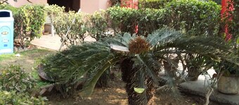Vacation Farm House Enjoyable palace for Stay ..it's soo sweet palce ..we l nice