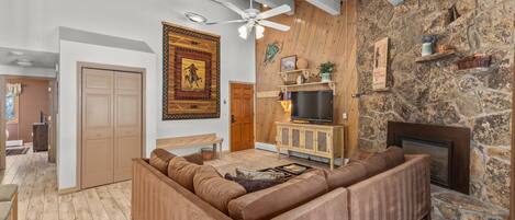 Televisión, chimenea, reproductor de DVD y libros