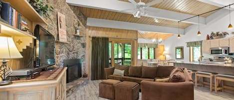 TV, fireplace, DVD player, books