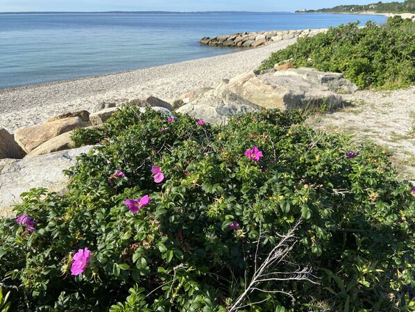 Beach nearby, sun-loungers