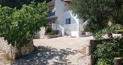 Apartments Arboreum A1 (5+2)