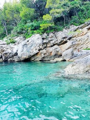 Beach - Apartments Maja, (14481), Sucuraj, hr (Sucuraj)