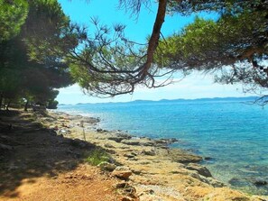 Beach nearby - Apartments Vesna, (12763), Murter, hr (Murter)