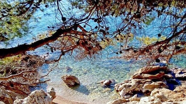 Una playa cerca