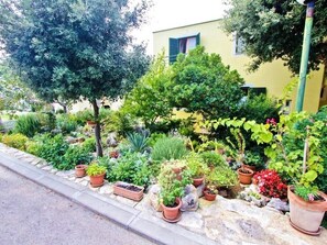 Property grounds - Apartments Irena, (14990), Petrcane, hr (Petrcane)