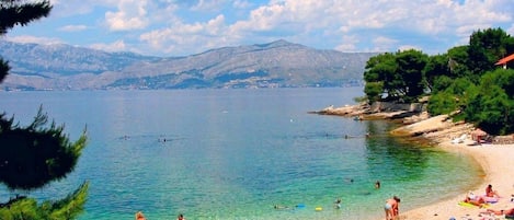 Nära stranden