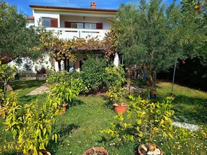 Property grounds - Apartments Mane, (15236), Kornic, hr (Kornic)