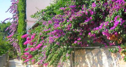 Appartements Jelka, (2109), Jelsa, Croatia