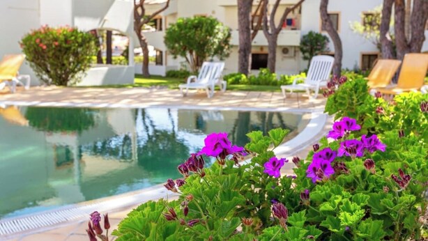 Zona de piscina amb gandules, una piscina reflexa i flors morades al primer pla.