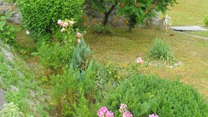 Ein Garten mit verschiedenen Pflanzen und Blumen, darunter rosa Rosen und ein Strauch mit grünen Blättern.