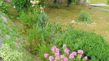 Àrea exterior de l'allotjament