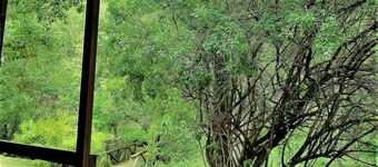 Fountain Baths Guest Cottages (unit 7)