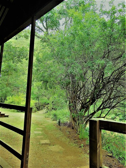 Fountain Baths Guest Cottages (unit 7)