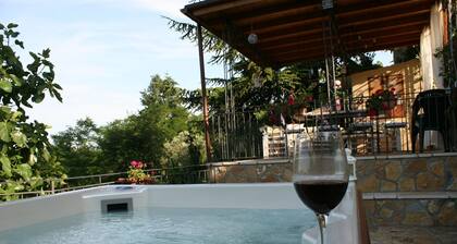 Chianti Holiday House, private jacuzzi up to 6 pax