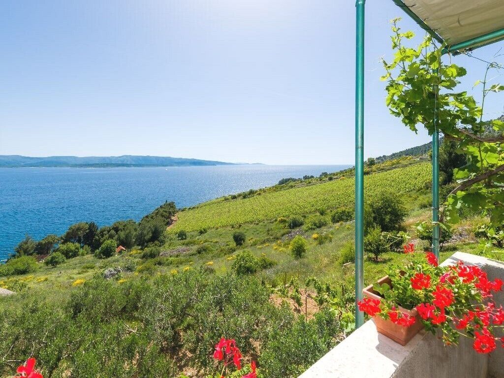 Vue depuis l’hébergement